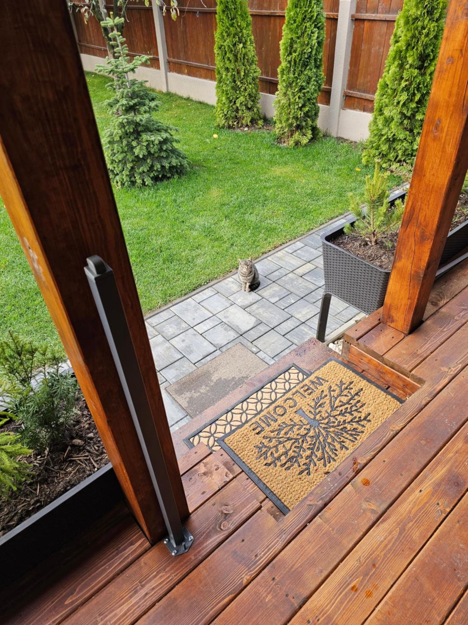 Arbor Apartment Brasov